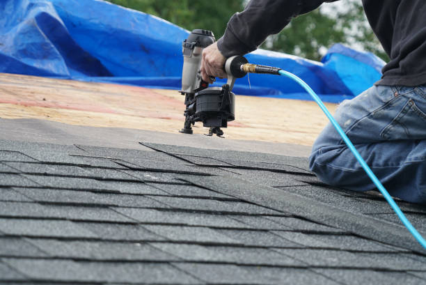 Best Storm Damage Roof Repair  in Pine, AZ